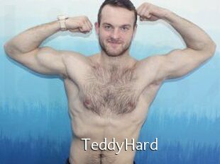 TeddyHard