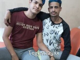 Tegusta29xx