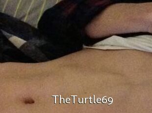 TheTurtle69
