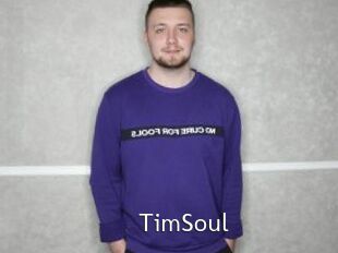 TimSoul