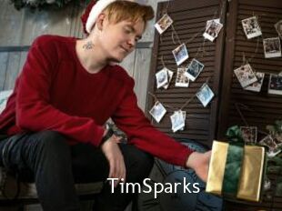 TimSparks