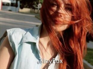 TinyFox