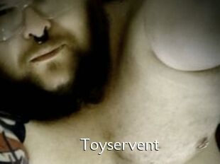 Toyservent