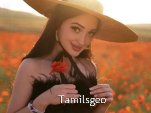 Tamilsgeo