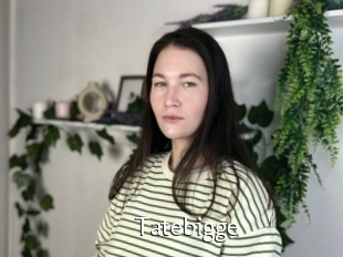 Tatebigge
