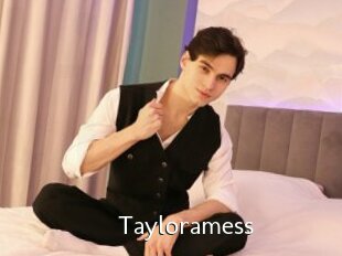 Tayloramess