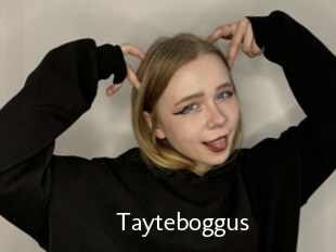 Tayteboggus