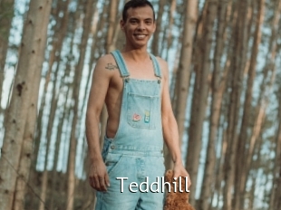 Teddhill