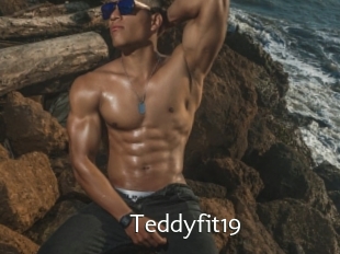 Teddyfit19