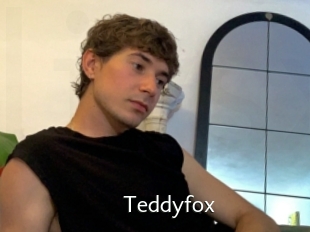Teddyfox