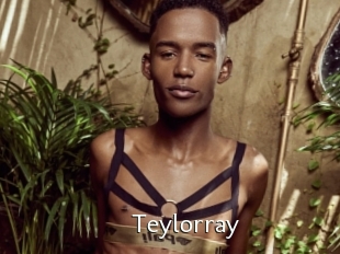 Teylorray