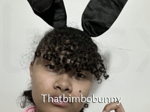 Thatbimbobunny