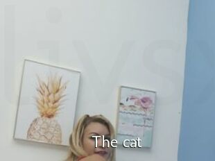 The_cat