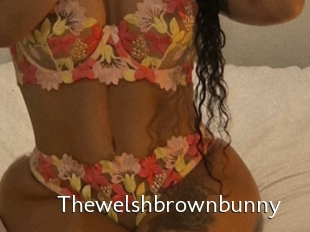 Thewelshbrownbunny