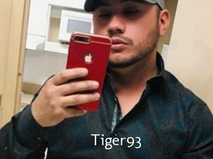Tiger93