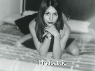 Tinacattie