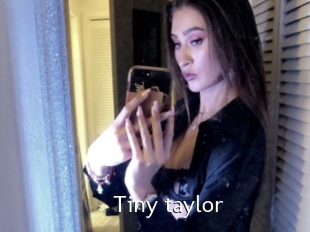 Tiny_taylor
