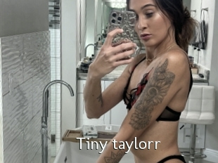 Tiny_taylorr