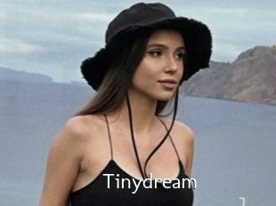 Tinydream