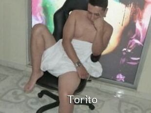 Torito