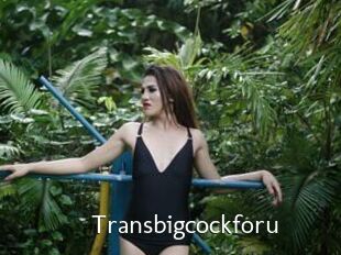 Transbigcockforu