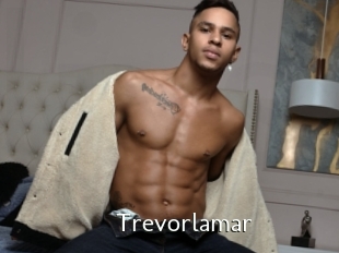 Trevorlamar