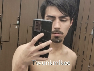 Twunkmikee