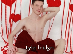 Tylerbridges