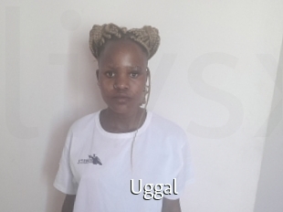 Uggal