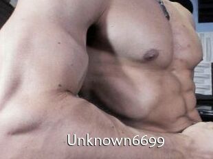 Unknown6699