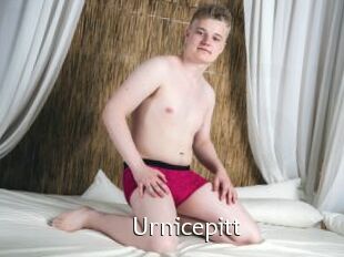 Urnicepitt