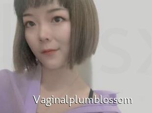 Vaginalplumblossom