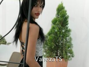 VanezaTS