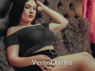 VenusCollins