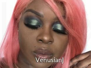 VenusianJ