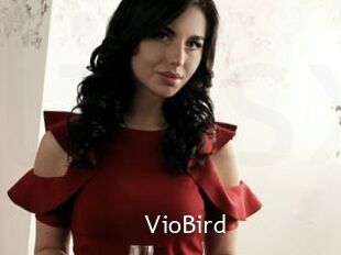 VioBird