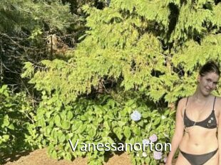 Vanessanorton