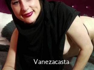 Vanezacasta