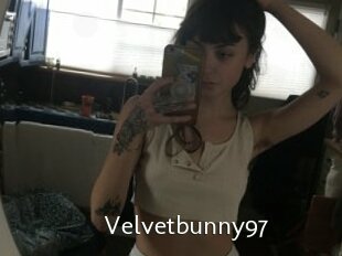 Velvetbunny97