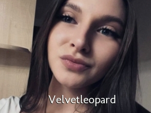 Velvetleopard