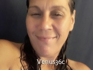 Venus36c