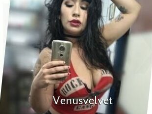 Venusvelvet