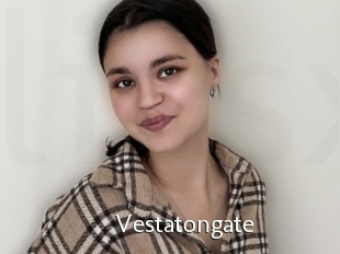 Vestatongate