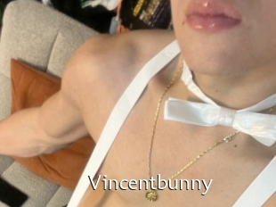 Vincentbunny