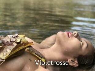 Violetrosse