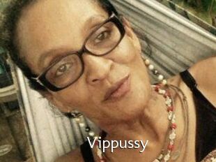 Vippussy