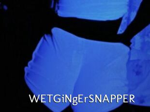 WETGiNgErSNAPPER