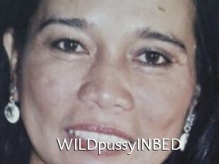 WILDpussyINBED