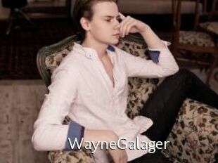 WayneGalager