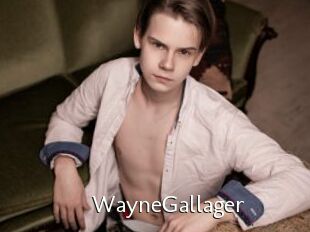 WayneGallager